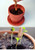 Sprout Pencils