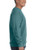 Comfort Colors Adult Crew Neck Sweatshirts