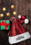 Sparkling Red Santa Hat