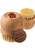 Bamboo Scrub Brush
