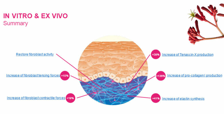 invitro-exvivo1.jpg invitro-exvivo1.jpg