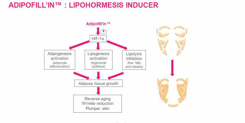 lipohormesis-inducer.jpg