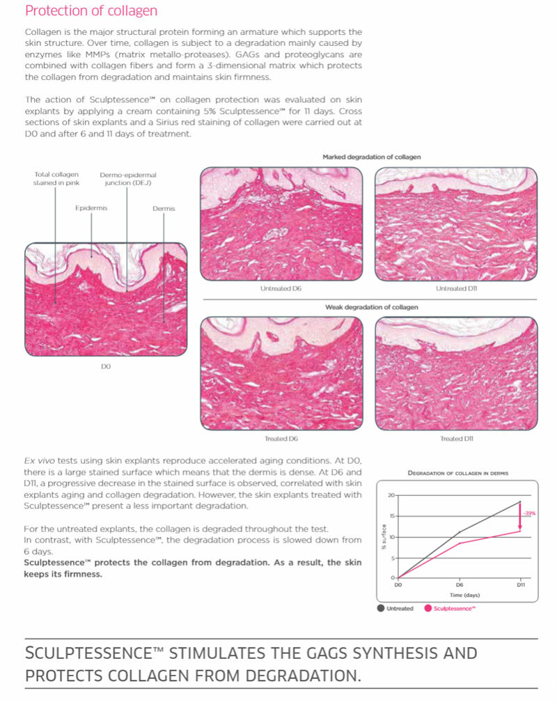 protection-on-collagen.jpg