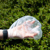 A hand wearing a transparent plastic disposable glove, surrounded by green foliage. The glove is crumpled and slightly stretched.
