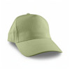 A green cap with a curved brim and adjustable back, featuring a logo on the front.
