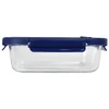 A glass lunch box with a transparent body and a navy blue lid, featuring a secure locking mechanism.