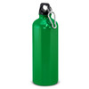 A drink bottle in glossy green, featuring a black cap and a carabiner clip. It holds 800ml of liquid.