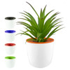 A white mini desk plant pot with a vibrant orange top, featuring a green plant. Includes additional pots in black, blue, and green.