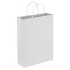 A white paper trade show bag with handles, featuring a smooth surface and no visible branding.