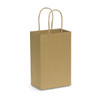 A small brown paper carry bag with two twisted handles.