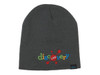 A dark grey beanie with a colourful "discovery" logo and a small branding tag.
