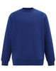 A blue crew fleece sweatshirt featuring long sleeves and a crew neckline, with a logo on the front.