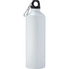 A drink bottle in white aluminium with a black cap and a carabiner attachment, featuring a logo.