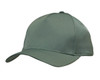 A green premium sports twill cap with a curved brim and a logo on the front.