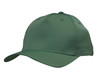 A green cap featuring a structured design and a pre-curved brim, with a logo on the front.