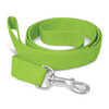 A green dog leash with a metal clip at one end, featuring a textured fabric design.