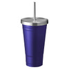 A drink bottle featuring a dark purple body and a stainless steel lid with a straw. It has a logo visible.