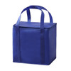 A blue insulated cooler bag with two handles and a zippered top. Features a simple, solid design.