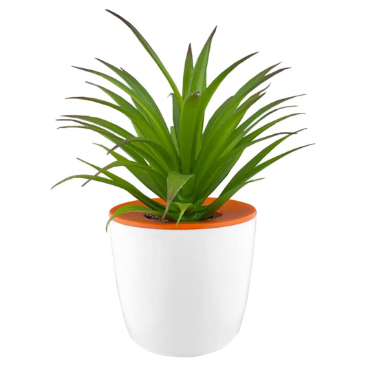 A small white plant pot with an orange rim holds a vibrant green artificial plant.