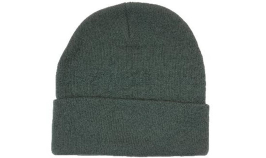 A green acrylic beanie (toque) with a folded cuff. It features a simple design and has a logo.