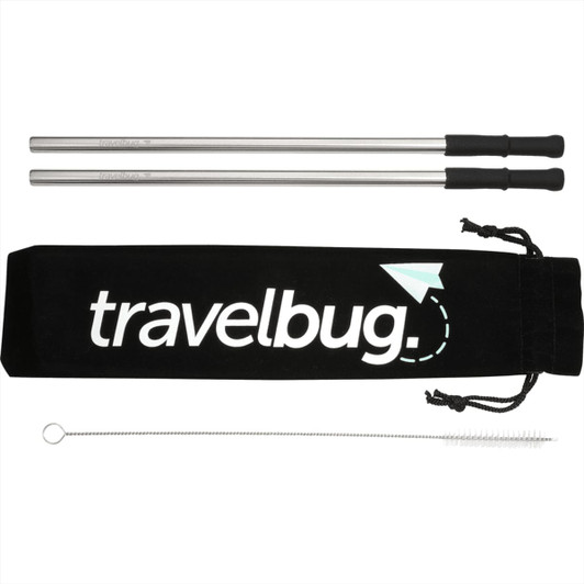 A reusable stainless steel straw set in silver with a black carrying pouch and cleaning brush.