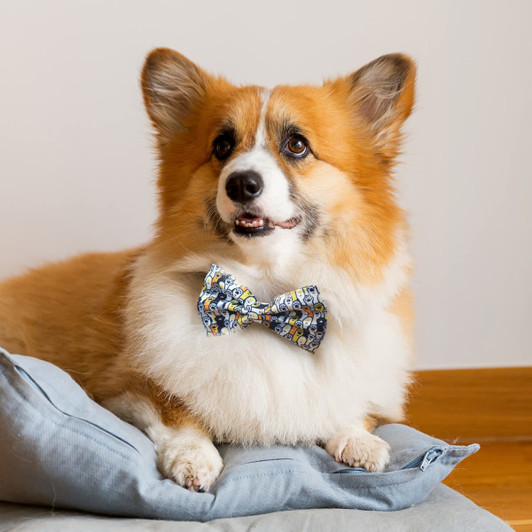 A dog wearing a blue and white patterned bow tie, resting on a cushion with a wooden floor in the background.