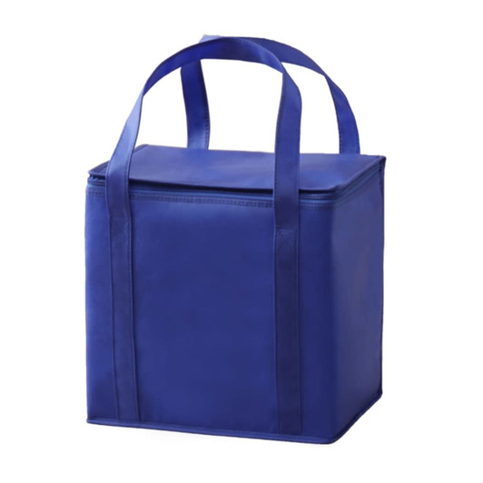 A blue insulated cooler bag with two handles and a zippered top. Features a simple, solid design.