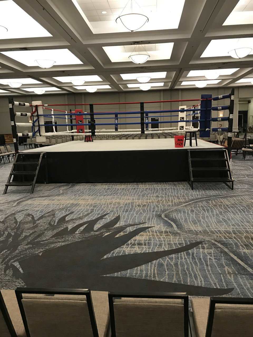 Professional Elevated 14' X 14' Boxing Ring - PRO BOXING SHOP