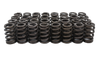 POWER STROKE PRODUCTS PP-6.7S-VS 6.7L SCORPION VALVE SPRINGS