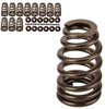 HAMILTON CAMS 07-S-001 165# BEEHIVE VALVE SPRINGS FOR 89–98 CUMMINS 5.9L 12V