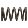 INDUSTRIAL INJECTION PDM-160-1484S-24 DODGE PERFORMANCE VALVE SPRINGS FOR 1998.5-2018 CUMMINS 24 VALVE 95 LB