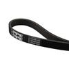 PPE 313060335 SERPENTINE BELT - 2011-2023 FORD 5.0/5.2L MUSTANG 6 RIB A/C BELT 6PK851