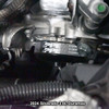 PPE 113060748 SERPENTINE BELT 1900MM 6 RIB - GM 3.0L DURAMAX 2020-2025 LM2 LZ0