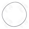 YUKON YSPO-003 C5 VETTE HOUSING O-RING TWO NEEDED