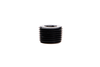 FLEECE FPE-NPT-14 1/4 INCH NPT HEX SOCKET PLUG BLACK