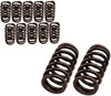 CPP DIESEL 60LB VALVE SPRINGS FOR 1989-1998 CUMMINS 5.9L 12V ENGINE