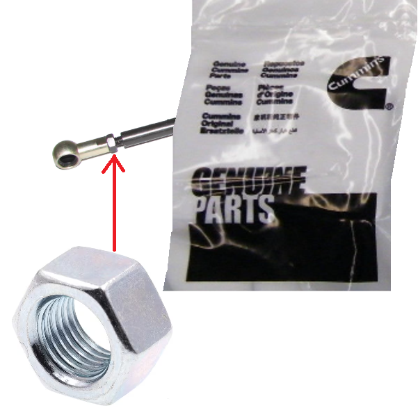 CUMMINS REGULAR HEXAGON NUT 94-98 DODGE RAM 5.9L - 3915103