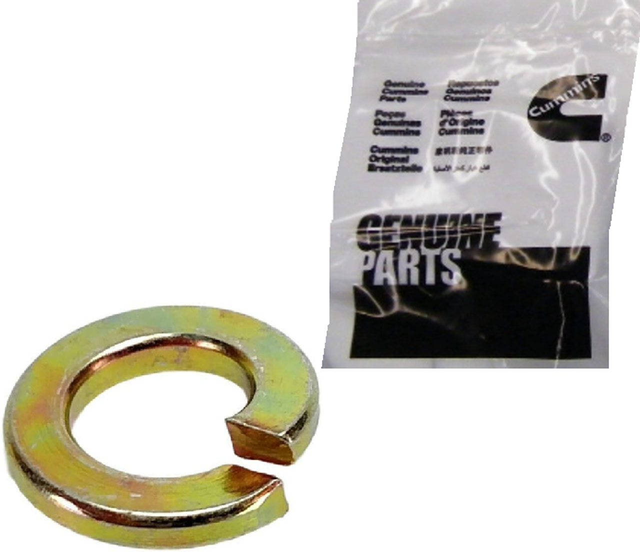 CUMMINS 3920922 OEM P7100 INJECTION PUMP LOCK WASHER – RAM 5.9L 12-VALVE (1994–1998)