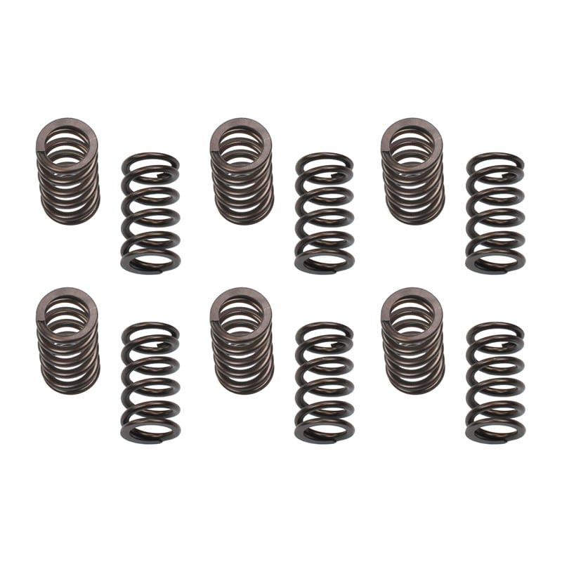 INDUSTRIAL INJECTION 24G801 DODGE PERFORMANCE VALVE SPRINGS - 1989-1998 5.9L CUMMINS 12-VALVE (150 LB SEAT)