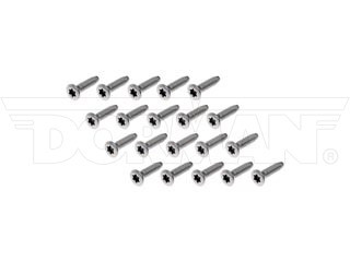 Dorman 45998 Stainless Steel Door Hinge Screws 2011-2019 Ram 2500 | 2011-2018 Ram 3500 | 2014-2018 Ram 4500/5500 | 2011-2018 Ram 1500 | 2019 Ram 1500 Classic | 2020 Jeep Gladiator | 2008-2019 Jeep Grand Cherokee