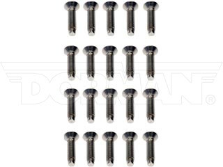 Dorman 45998 Stainless Steel Door Hinge Screws 2011-2019 Ram 2500 | 2011-2018 Ram 3500 | 2014-2018 Ram 4500/5500 | 2011-2018 Ram 1500 | 2019 Ram 1500 Classic | 2020 Jeep Gladiator | 2008-2019 Jeep Grand Cherokee