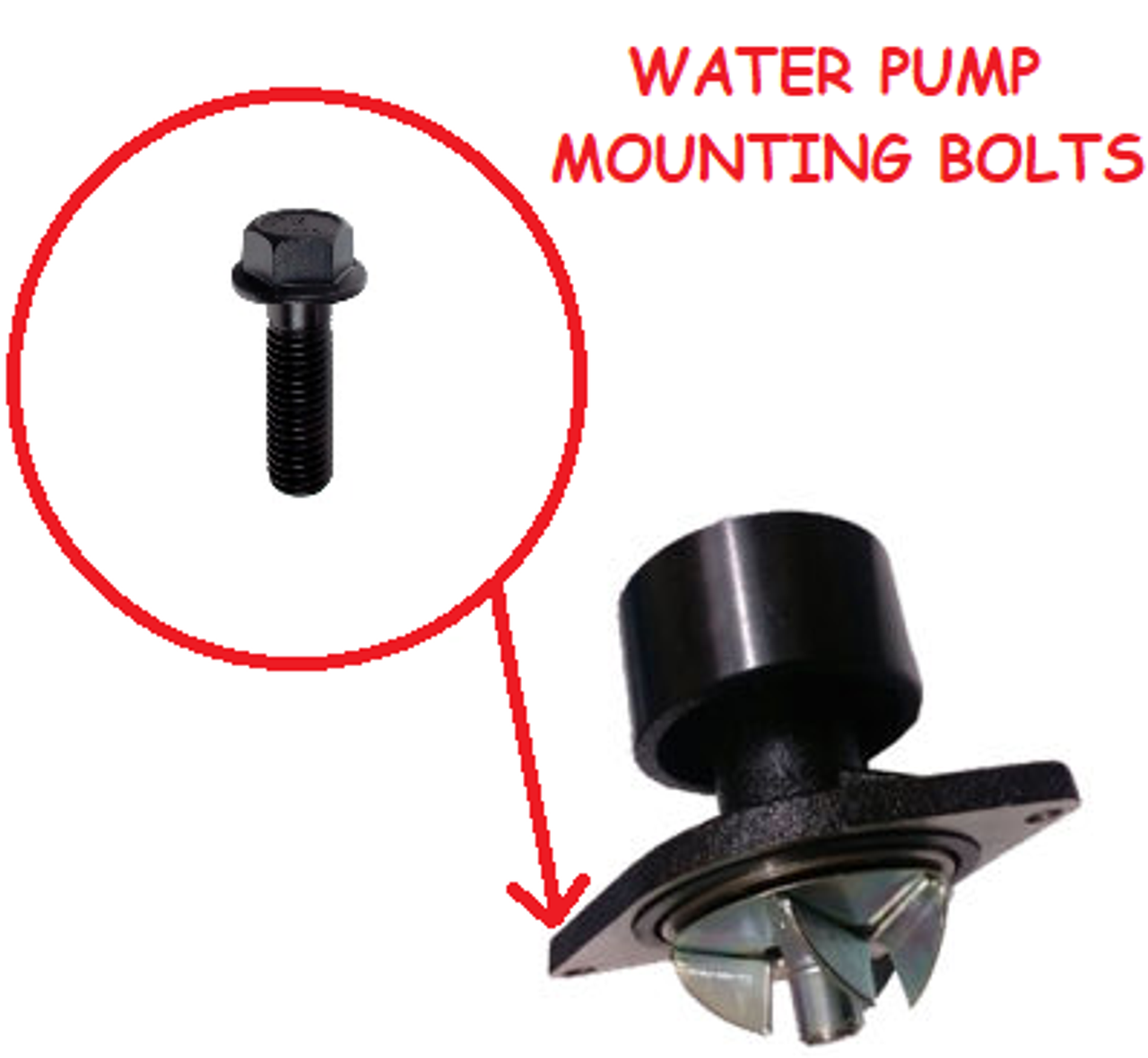 CPP CUMMINS 3941981 WATER PUMP MOUNTING BOLTS FOR 89-18 DODGE CUMMINS 5.9L/6.7L 12V/24V CPP CUMMINS 3941981 WATER PUMP MOUNTING BOLTS FOR 89-18 DODGE CUMMINS 5.9L/6.7L 12V/24V