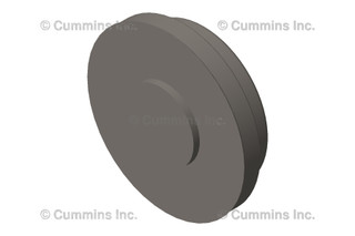 CUMMINS 4090385 CAP,RAIN