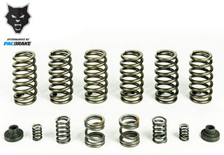 PACBRAKE HP10246 SPRING 6 HD VALVE SPRINGS FOR 94-98 RAM 2500/3500 W/ P7100 INJECTION PUMP