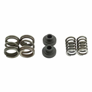 INDUSTRIAL INJECTION 232614 DODGE GOVERNOR SPRINGS FOR 94-98 5.9L CUMMINS 3000 RPM