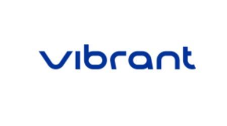 VIBRANT PERFORMANCE VIBRANT PERFORMANCE