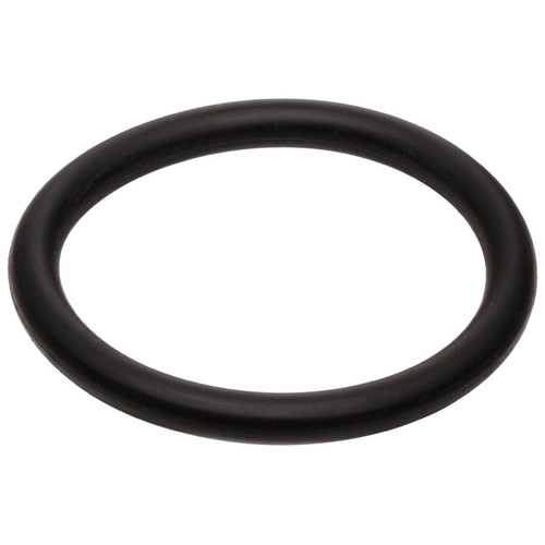 INTERSTATE-MCBEE M-3029820 INJECTOR BODY O-RING 98.5–02 5.9L CUMMINS (AFTERMARKET REPLACEMENT)