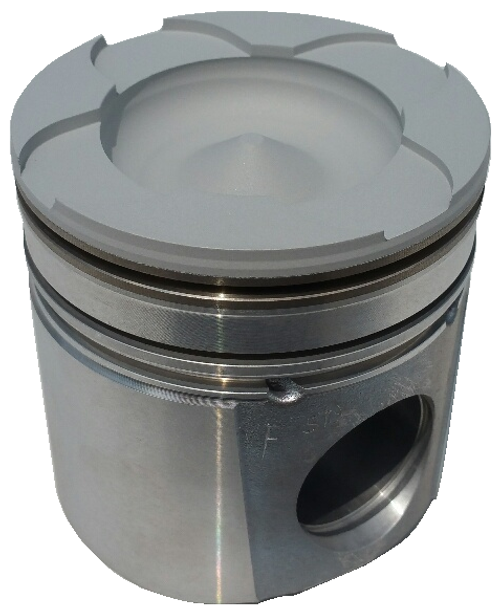 CALICO COAT PISTONS