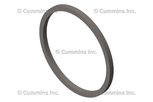CUMMINS 3906698 OEM WATER PUMP RECTANGULAR RING SEAL – 5.9L/6.7L (1989–2018)