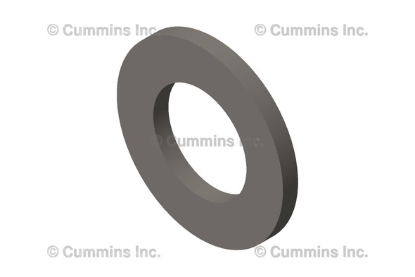 CUMMINS 102010 WASHER, PLAIN